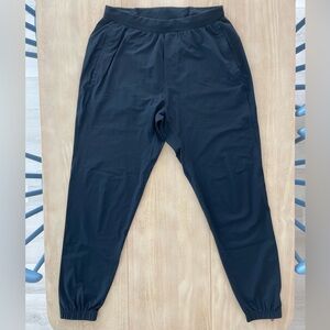Lululemon Surge Joggers 29”